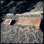 headstone for cullen